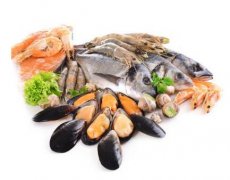 廣州海鮮進口報關(guān)代理公司介紹